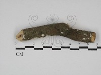 登錄號:F0030670藏品圖，第1張