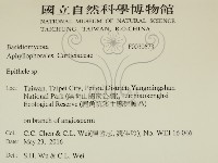 登錄號:F0030673藏品圖，第2張