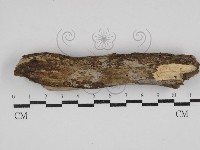 登錄號:F0030673藏品圖，第1張