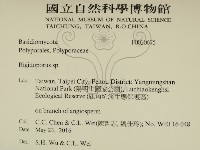 硬孔菌屬藏品圖，第2張