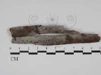 登錄號:F0030676藏品圖，第1張