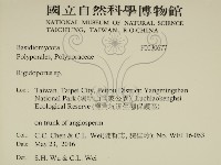 硬孔菌屬藏品圖，第2張