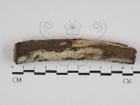 登錄號:F0030679藏品圖，第1張