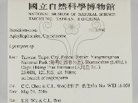 登錄號:F0030680藏品圖，第2張