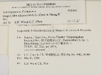登錄號:F0030681藏品圖，第2張