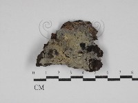 登錄號:F0030681藏品圖，第1張