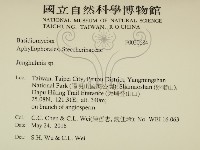 容氏菌屬藏品圖，第2張