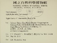 登錄號:F0030685藏品圖，第2張