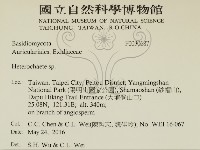 刺皮菌屬藏品圖，第2張