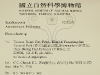 刺皮菌屬藏品圖，第2張