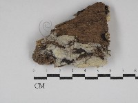 登錄號:F0030690藏品圖，第1張