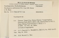 登錄號:F0030690藏品圖，第3張