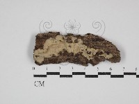 登錄號:F0030691藏品圖，第1張