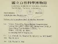 登錄號:F0030693藏品圖，第2張