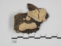 登錄號:F0030693藏品圖，第1張