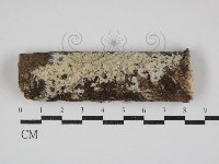 登錄號:F0030694藏品圖，第1張