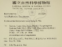 登錄號:F0030695藏品圖，第2張