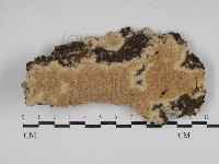 登錄號:F0030695藏品圖，第1張