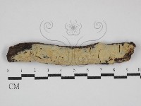 登錄號:F0030696藏品圖，第1張