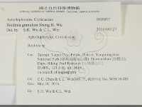 登錄號:F0030697藏品圖，第2張