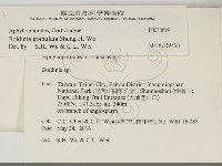 登錄號:F0030699藏品圖，第2張