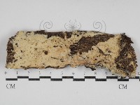 登錄號:F0030701藏品圖，第1張