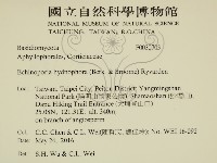 登錄號:F0030703藏品圖，第2張