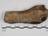 登錄號:F0030704藏品圖，第1張