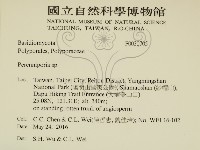 多年臥孔菌屬藏品圖，第2張