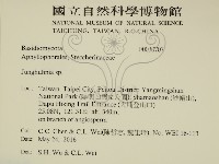 容氏菌屬藏品圖，第2張