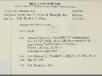 登錄號:F0030708藏品圖，第2張