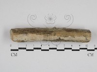 登錄號:F0030709藏品圖，第1張