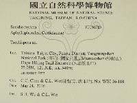 登錄號:F0030710藏品圖，第2張