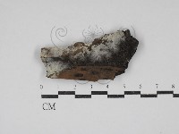 登錄號:F0030710藏品圖，第1張