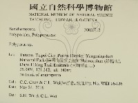 多孔菌屬藏品圖，第2張