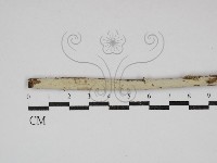 登錄號:F0030713藏品圖，第1張