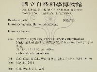 刺革菌屬藏品圖，第2張