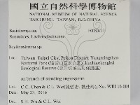 登錄號:F0030717藏品圖，第2張