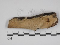 登錄號:F0030717藏品圖，第1張