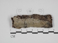 登錄號:F0030720藏品圖，第1張