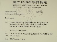 栓菌屬藏品圖，第2張