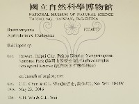 登錄號:F0030723藏品圖，第2張