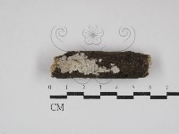 登錄號:F0030723藏品圖，第1張