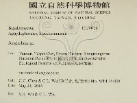 容氏菌屬藏品圖，第2張