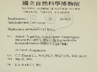 冇骨消絲齒菌藏品圖，第2張