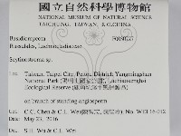 登錄號:F0030727藏品圖，第2張
