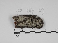 登錄號:F0030728藏品圖，第1張