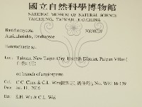 刺皮菌屬藏品圖，第2張