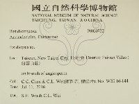 登錄號:F0030732藏品圖，第2張