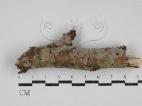 登錄號:F0030732藏品圖，第1張